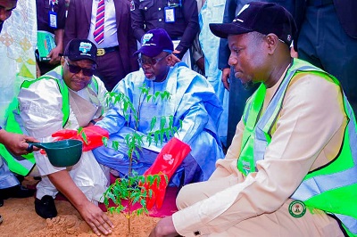 Read more about the article 2023 Tree Planting Campaign: Jigawa State Plant 5.5 Million Tree